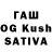 Канабис OG Kush Qurbon Mardanov