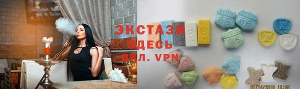 гашик Алексин