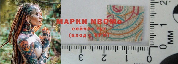 СК Аркадак