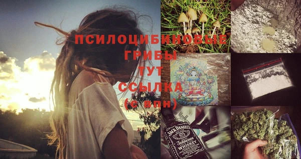 мяу мяу мука Алексеевка