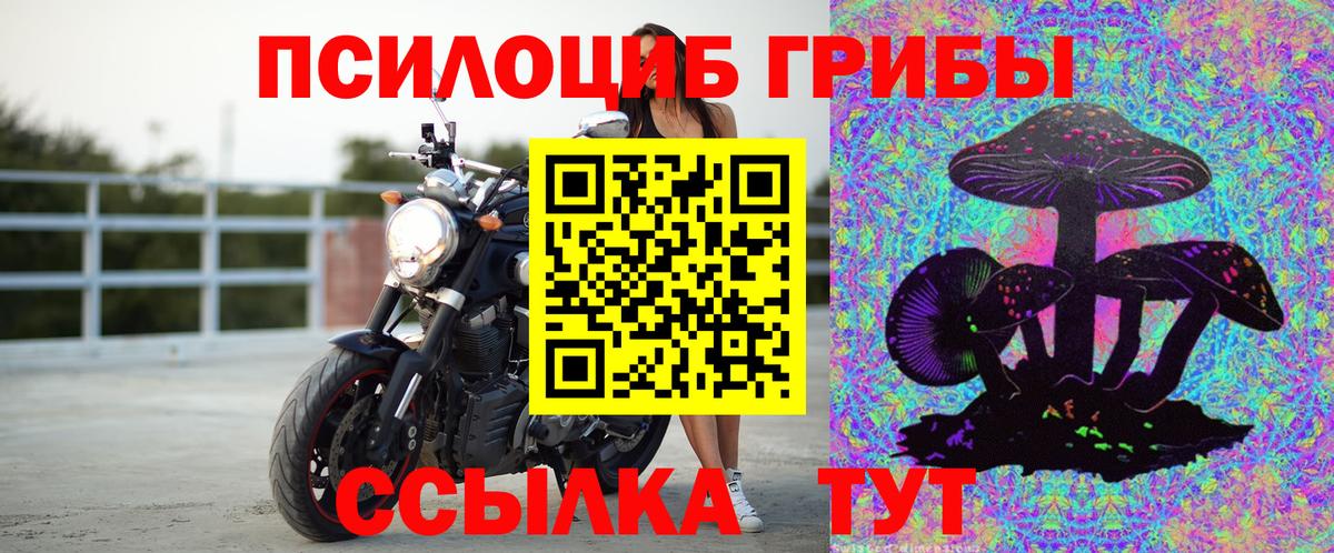 Галлюциногенные грибы MAGIC MUSHROOMS Волгодонск